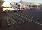 GENDARMERIA INCAUTA CINCUENTA KILOS DE HOJAS DE COCA EN DOS CONTROLES