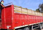 CAMINERA SECUESTRÓ UN CAMIÓN CON IRREGULARIDADES Y UN AUTO ADULTERADO EN CHARATA