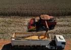 DE FÁBRICA NACIONAL A IMPORTAR LOS PRODUCTOS