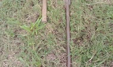 AGENTES VIALES APREHENDEN A DOS HOMBRES POR SUSTRAER POSTES Y ALAMBRADOS AJENOS 