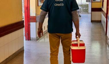 UN NUEVO OPERATIVO DE DONACIÓN MULTIORGÁNICO EN EL CHACO PERMITIRÁ REALIZAR CUATRO TRANSPLANTES