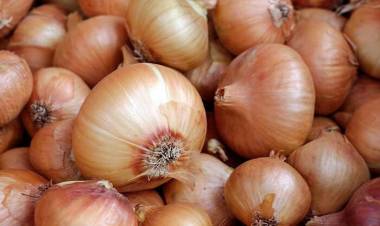 DEL PRODUCTOR AL CONSUMIDOR