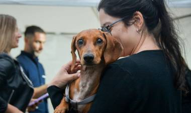 SE REALIZÓ EL PRIMER OPERATIVO DEL PROGRAMA “DEJANDO HUELLAS” EN EL PARQUE DE LA DEMOCRACIA DE RESISTENCIA