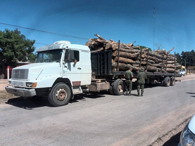 SECUESTRARON 25 MIL KILOS DE QUEBRACHO BLANCO 