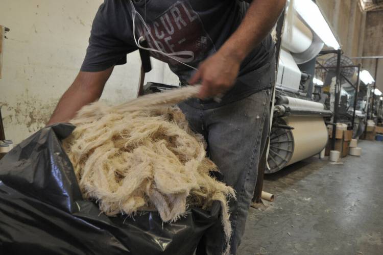 INCENTIVOS MIPYMES PARA MENOS