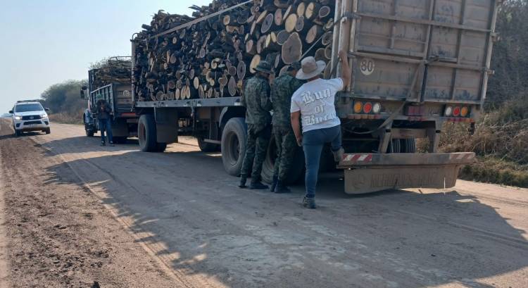 RETIENEN CAMIÓN CON 20 MIL KILOGRAMOS DE LEÑA MEZCLA