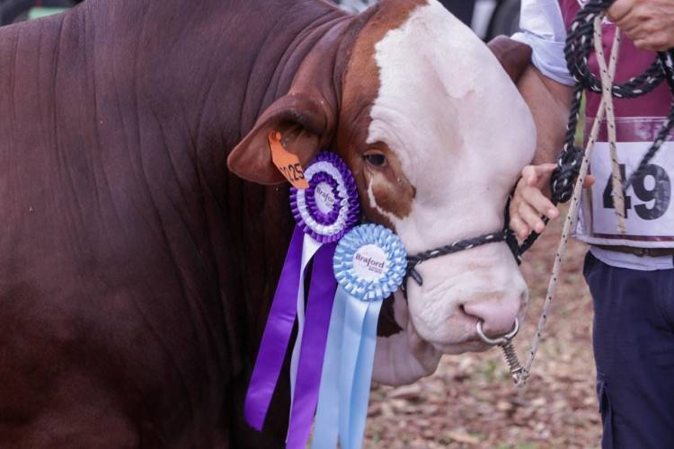 MARGARITA BELÉN: CONCLUYÓ CON ÉXITO LA PRIMERA EDICIÓN EXPO PRIMAVERA DE BRAFORD