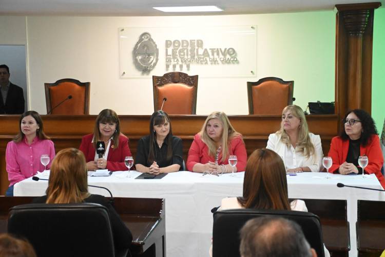 LA LEGISLATURA RECONOCIÓ A LAS INTENDENTES  CHAQUEÑAS EN EL MARCO DE UN NUEVO ANIVERSARIO DEL RETORNO DE LA DEMOCRACIA