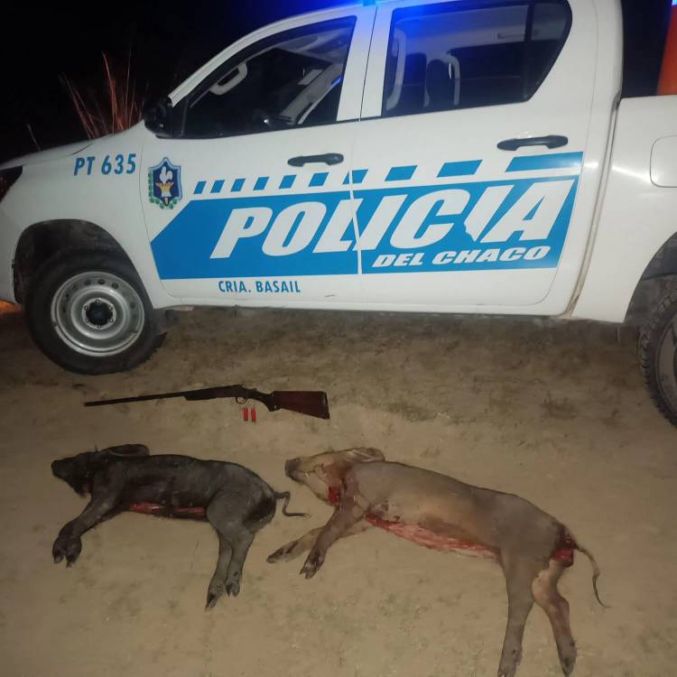 DOS DETENIDOS POR CAZA ILEGAL EN LA ZONA RURAL