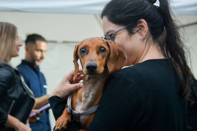 SE REALIZÓ EL PRIMER OPERATIVO DEL PROGRAMA “DEJANDO HUELLAS” EN EL PARQUE DE LA DEMOCRACIA DE RESISTENCIA