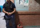 AVÍA TERAI: APROVECHO LAS PRECIPITACIONES PARA ROBAR UN TUBO DE GAS A SU VECINA