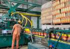 LA PRODUCCIÓN LOCAL Y EL EMPLEO EN GRAVE CRISIS
