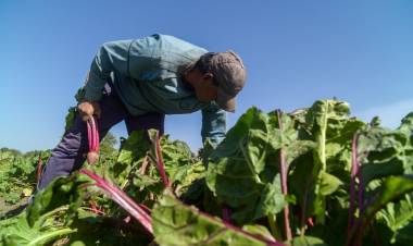 DESARROLLO E INCLUSIÓN DE PEQUEÑOS PRODUCTORES, ¡AFUERA!