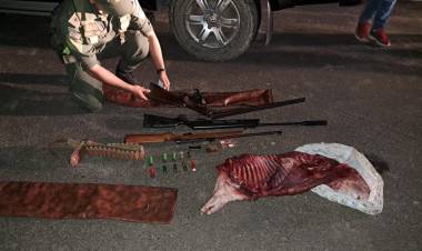 COMO RESULTADO DEL CONTROL VIAL DE GENDARMERÍA, SE SECUESTRA UN VEHÍCULO, ARMAS Y UN ANIMAL FAENADO