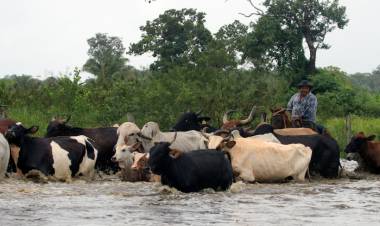 LAS LLUVIAS EN BOLIVIA DEJAN HASTA EL MOMENTO 55 FALLECIDOS Y 590.529 FAMILIAS AFECTADAS 