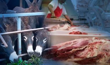 CARNE DE BURRO FRENTE A PRECIOS SIDERALES