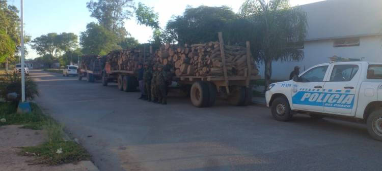 DECOMISAN 20 MIL KILOS DE LEÑA MEZCLA 