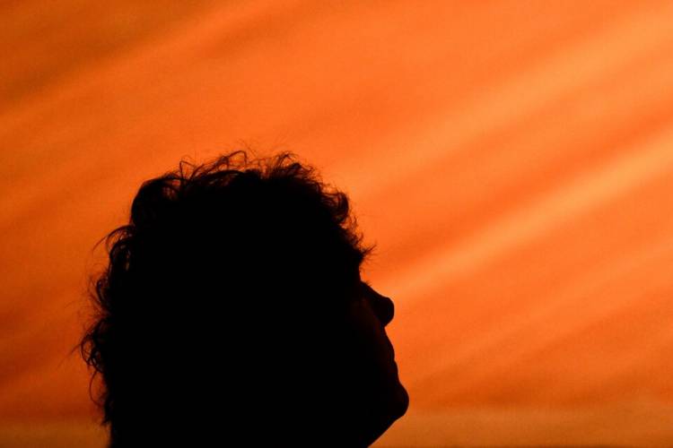 LA REALIDAD PARALELA DE MILEI