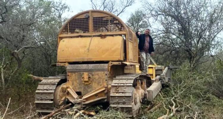 PROPONEN AUMENTAR PENAS POR DESMONTES Y PROMOVER LA REFORESTACIÓN