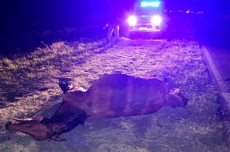 MACHAGAI: ACCIDENTE DE TRANSITO 