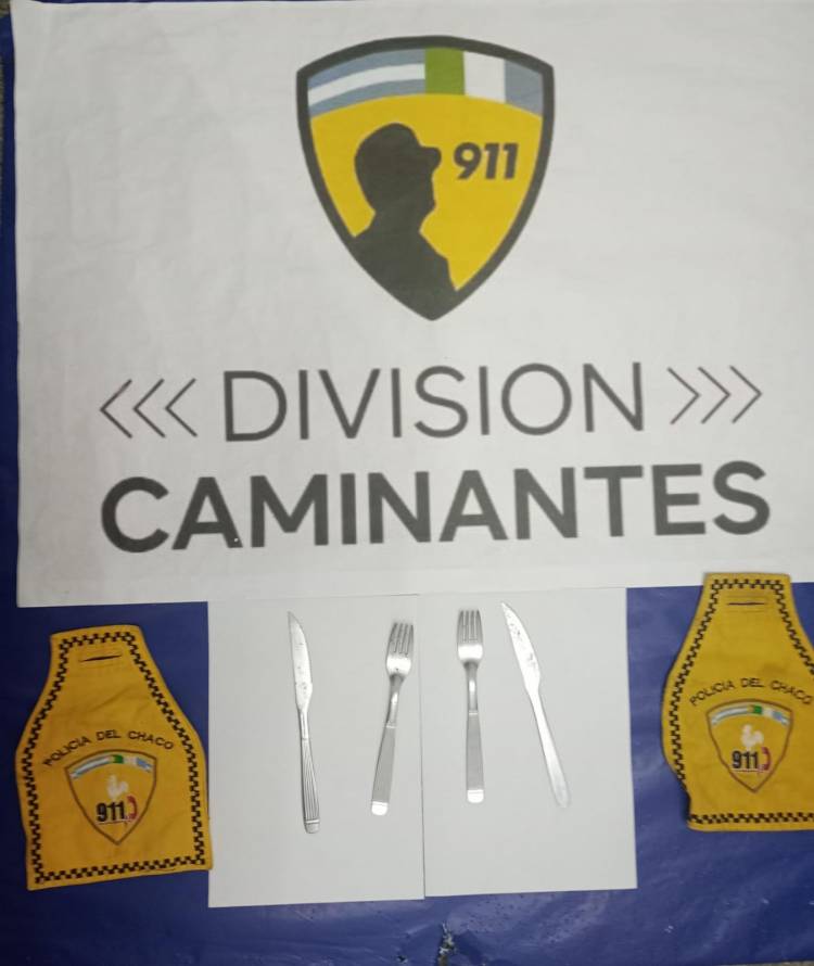 VARIOS ILÍCITOS Y DETENCIONES EN UNA NOCHE DE PREVENCIÓN 