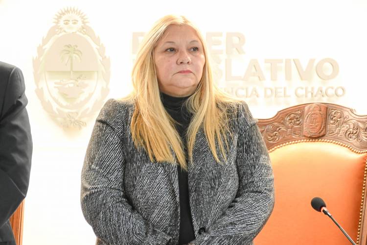 SESIÓN ORDINARIA N°14: REGULACIÓN DEL USO DE ARMAS ELECTRÓNICAS ENTRES LAS LEYES SANCIONADAS