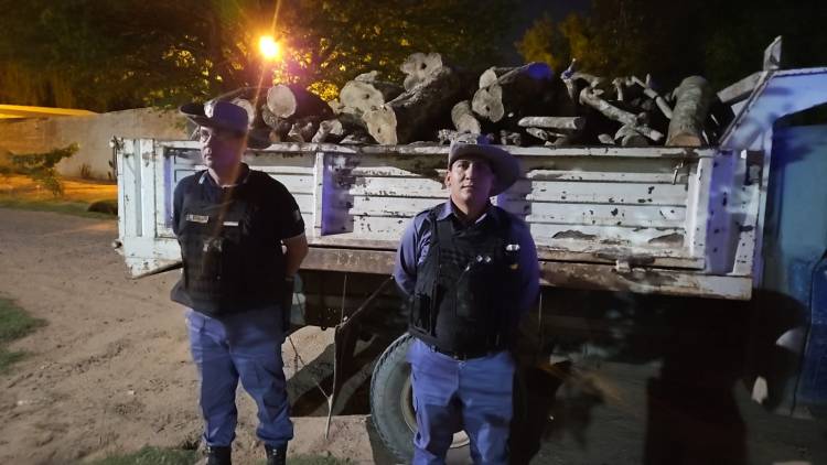 DETIENEN A UN HOMBRE CON PEDIDO, SECUESTRAN SEIS TONELADAS DE MADERA E INCAUTAN PLANTA DE MARIHUANA